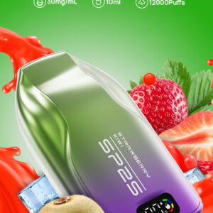 SP2一次性12000口  SP2一次性電子煙  台灣現貨